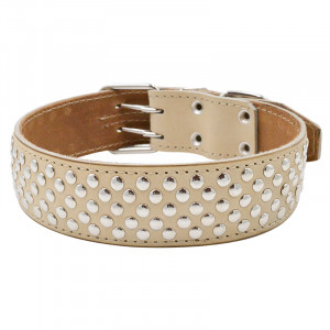 ПР0051476 Ошейник для собак 2сл 50мм клепка, длина до 70см бежевый ZOOEXPRESS