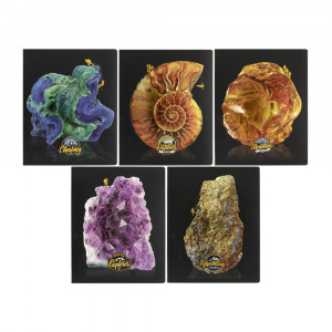 26849 Тетрадь "Мир камней" А5 48 л. клетка ПЗБМ