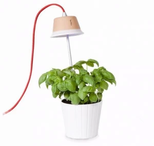 Linea Light Group Подвесной светильник / настольная лампа Chlorophyll