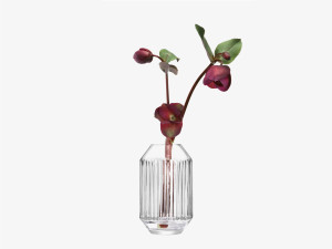 Выдувная стеклянная ваза-H15cm