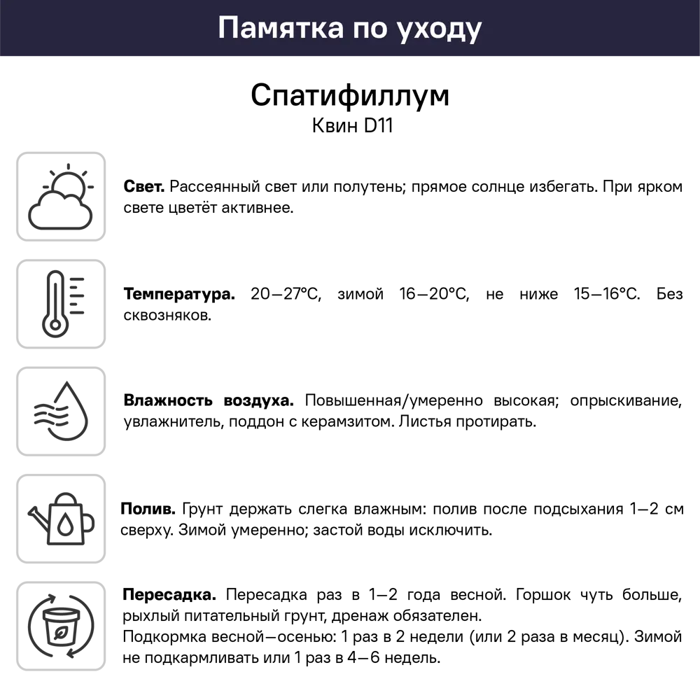 Спатифиллум Квин ø11 h30 см 89447854 STLM-2138552 Santreyd  - Вид №1