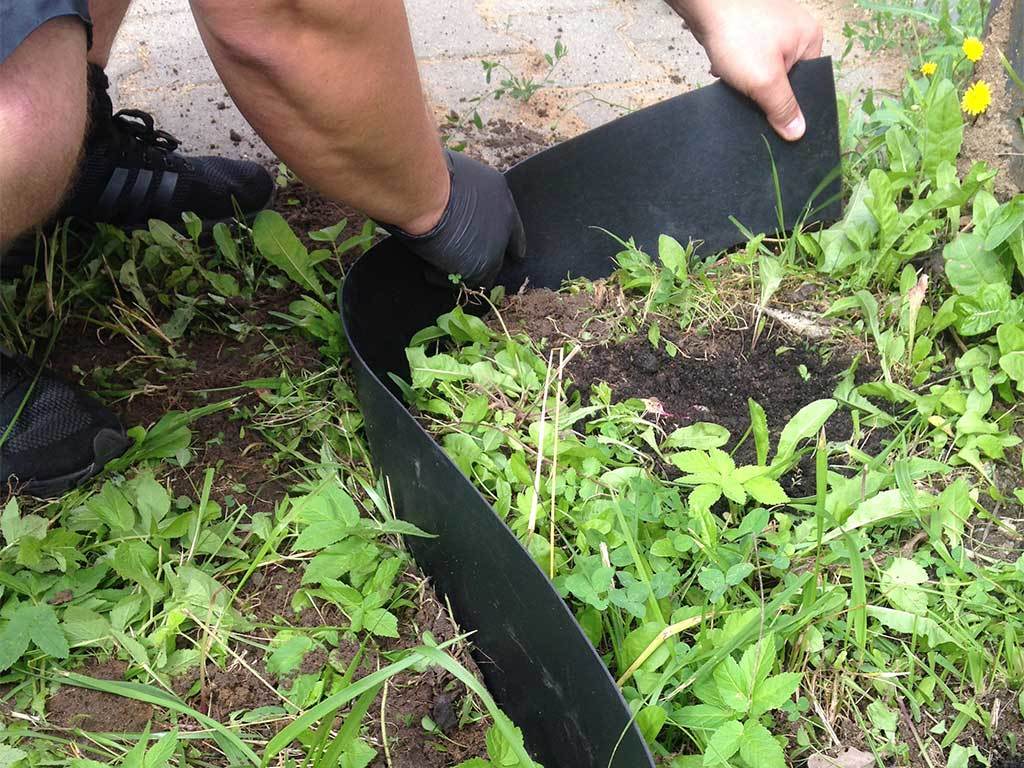 Лента бордюрная 200 мм x 10 м, 2 мм ГеоПластБорд GPBST-37 - Вид №6