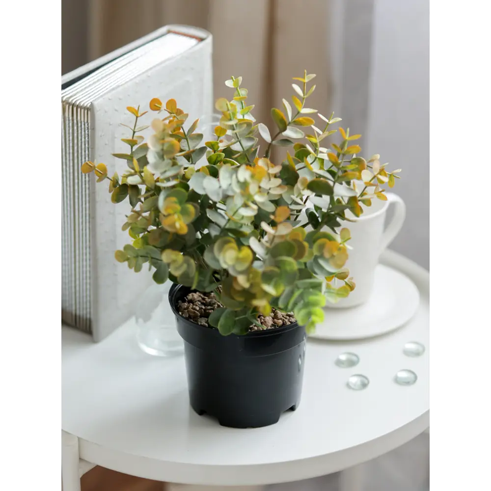 89356250 Искусственное растение в горшке эвкалипт h30 см цвет коричневый STLM-0961796 Santreyd  - Вид №3