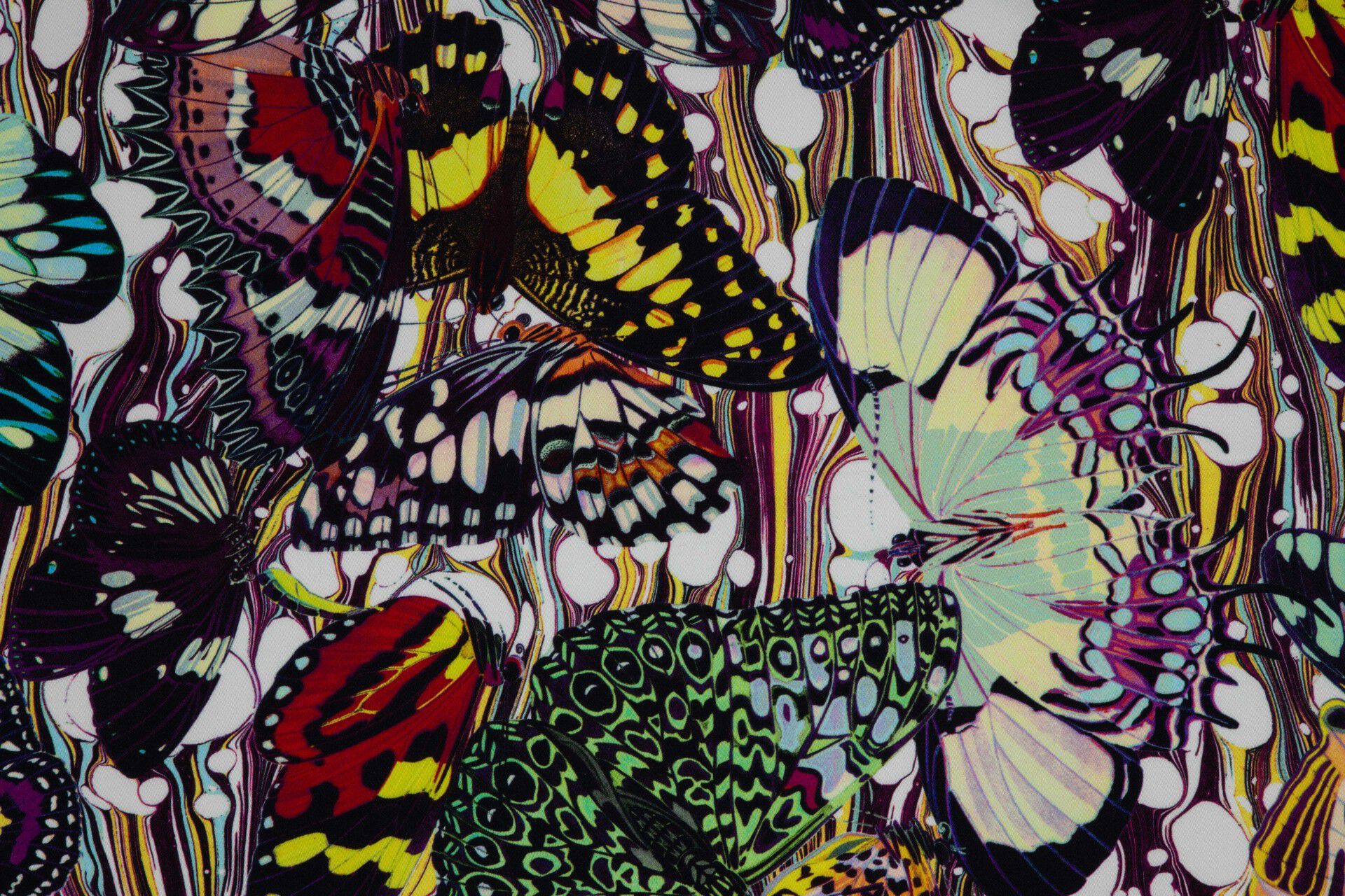 Многоцветная хлопчатобумажная ткань LELIEVRE Jean Paul Gaultier - La Croisière s'amuse ARCH-00144032 - Вид №2