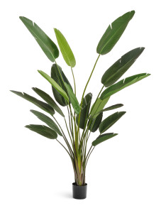 10.071820/8 Стрелиция Style зелёная Цветочная коллекция