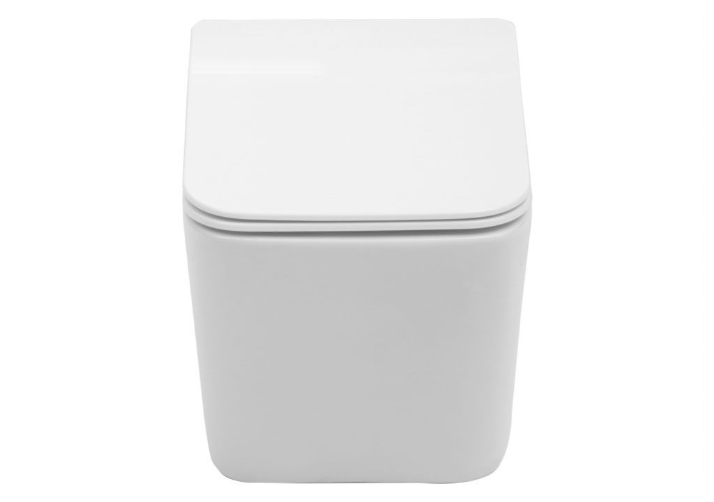 BL103NWHT Подвесной унитаз настенный Белый Aquanet TAVR Китай - Вид №8