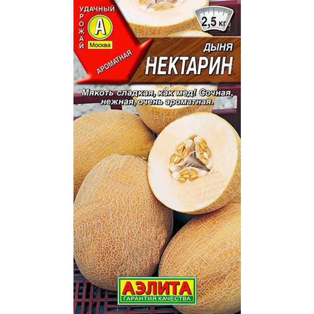 Семена овощей дыня Нектарин 13070999 STLM-2144519 Santreyd 