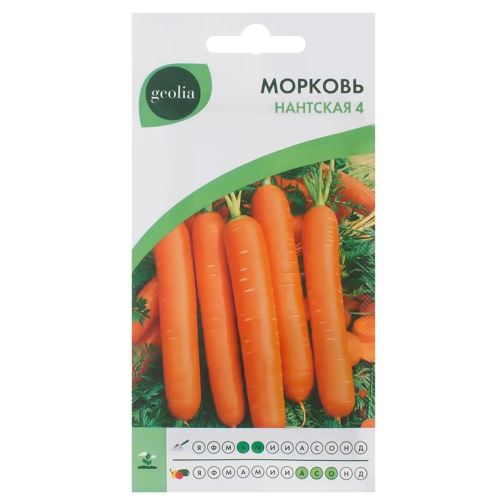 Морковь Geolia Нантская 4 — сладкий сорт для длительного хранения 17585041 STLM-0008345