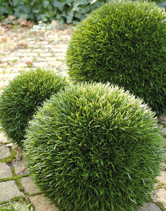 4882 883 a3 Пластиковый мяч для травы, синтетический материал, Ø 20 см, зеленый H-andreas