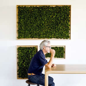 Акустическая панель из мха