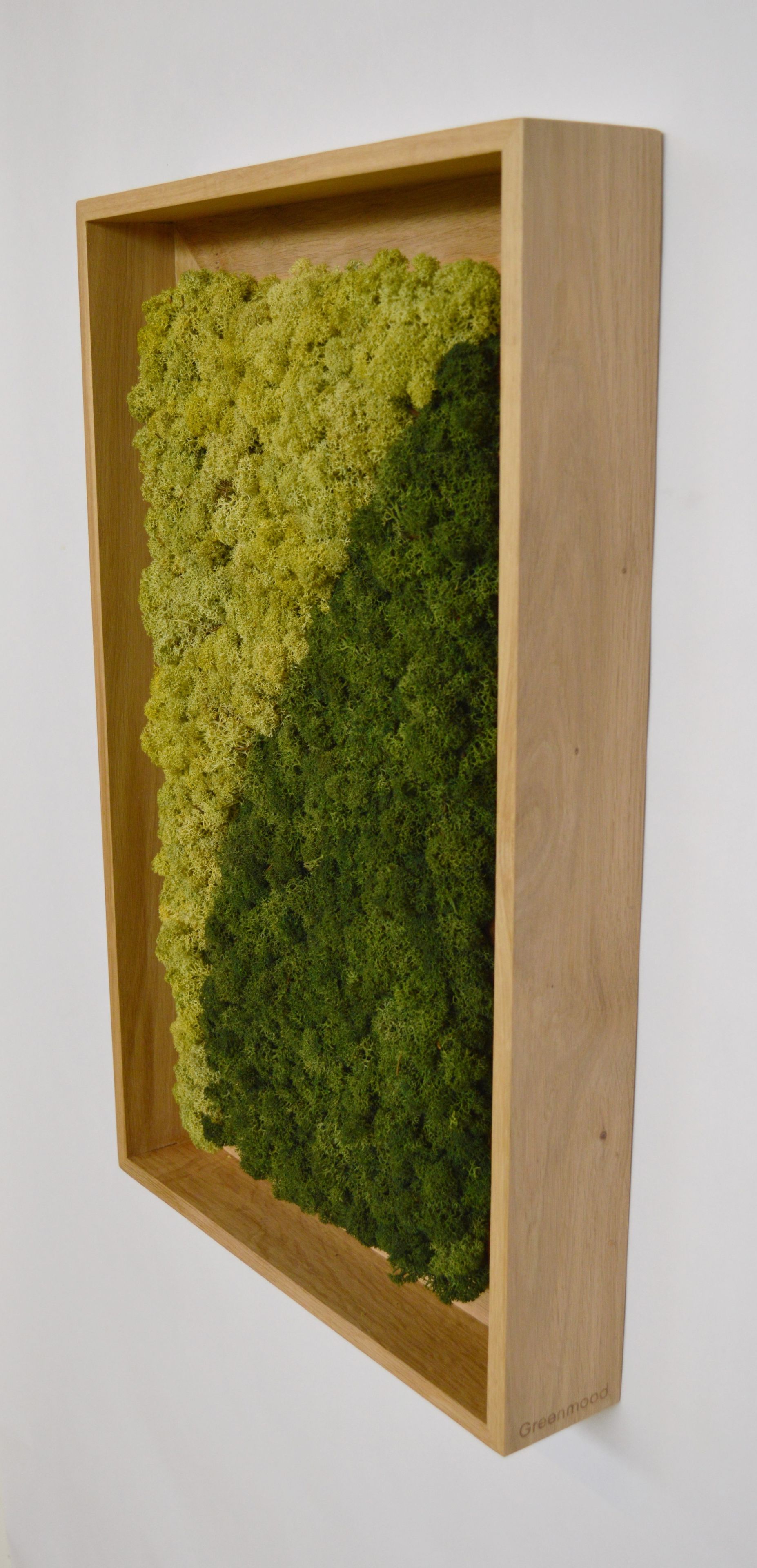 Акустическая панель из мха GREENMOOD FRAMED GEOMETRIC ARCH-00124960 - Вид №28