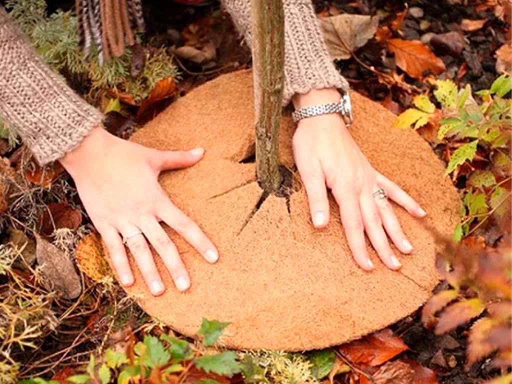 Круг приствольный Мульчаграм 30 см, комплект - 5шт ГеоПластБорд GPBST-234 - Вид №11