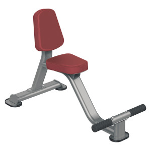 IT7022 Aerofit it7022 универсальная скамья-стул AeroFIT IT93 серия