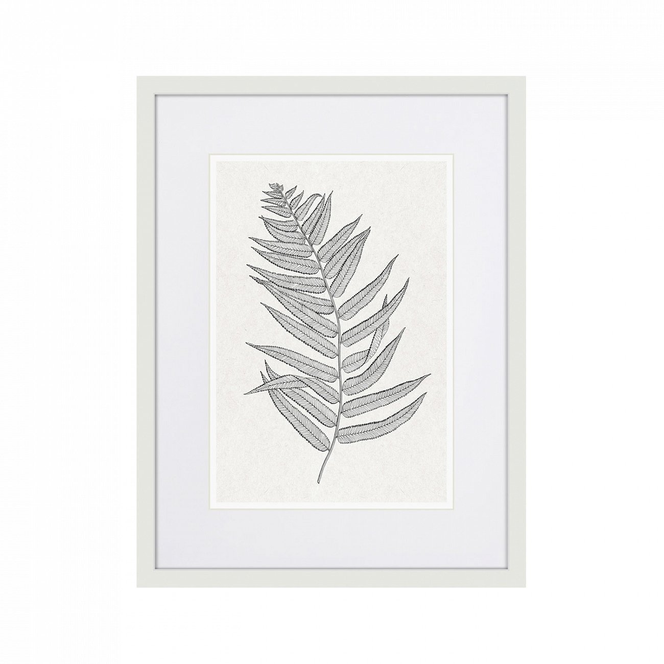 Картина белая 42х32 см The Fern Collection №4 КАРТИНЫ В КВАРТИРУ  00-3894676 Белый  - Вид №1