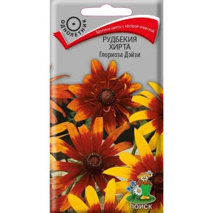 ПОИСК Рудбекия Глориоза Дэйзи - яркие цветы для сада 89401093