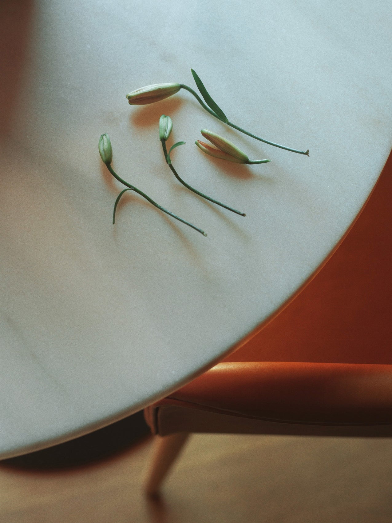 5709262031573 Стол колонны гавани, Круглый стол LuceLight  - Вид №23