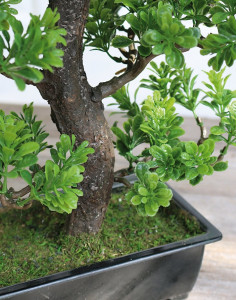5922 883 a3 Имитация самшита бонсай, горшечная, 42 см, зеленая H-andreas