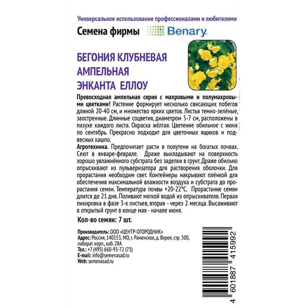 ПОИСК Бегония ампельная Энканта Еллоу - солнечный водопад цветов 89401284 STLM-1565954 - Вид №1