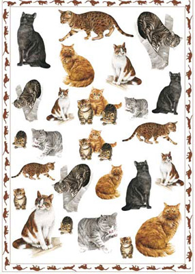 138 Calambour Easy Бумага для декупажа тонкая 50 x 70 см "Кошки" EASY Santreyd 