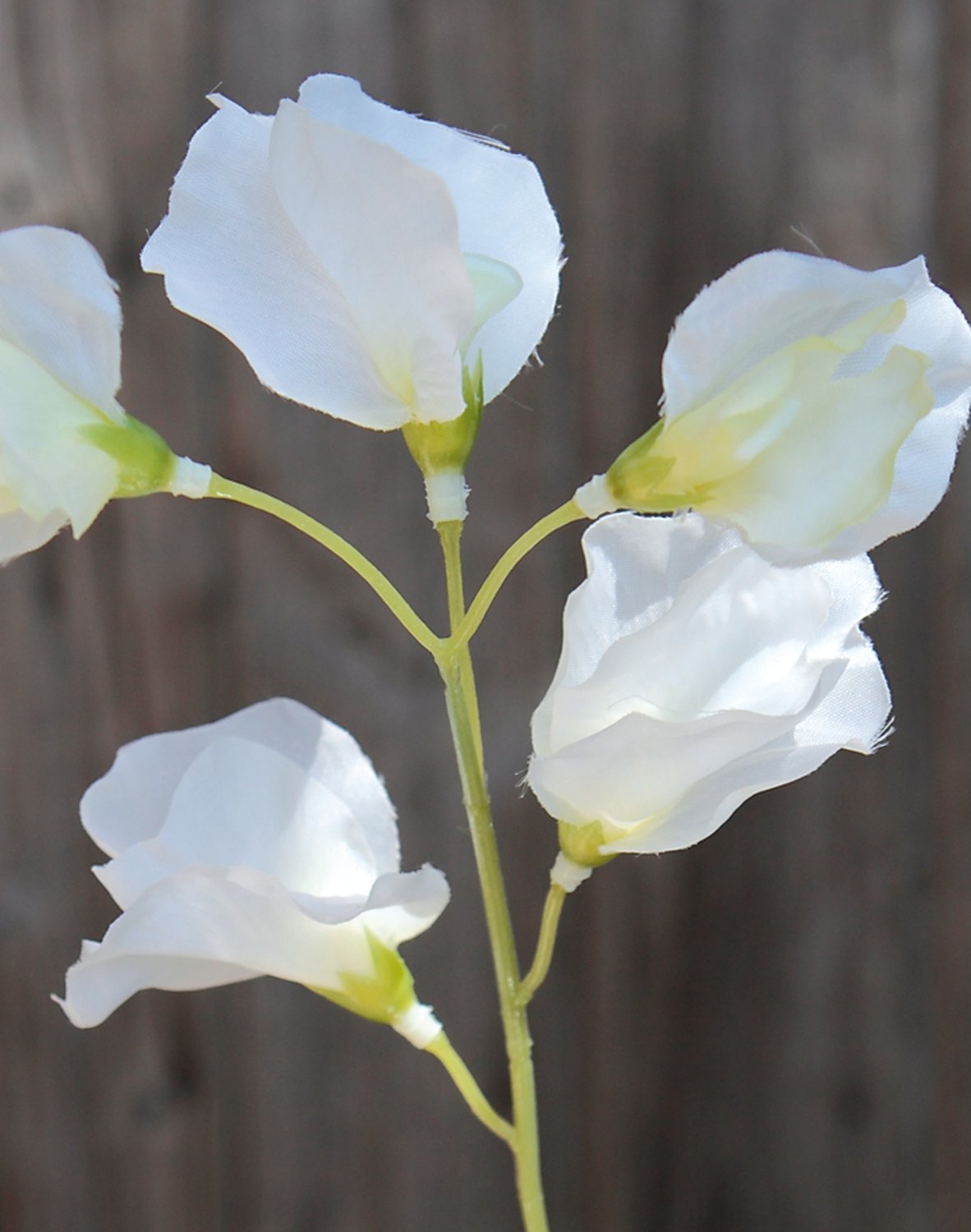 3181 005 a3 Вики искусственные, 4 штуки, 48 см, разноцветная миткалевая роза H-andreas  - Вид №11