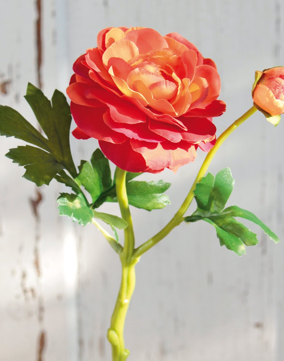 2450 334 a3 Лютик шелковый, 1 цветок, 1 бутон, 32 см, оранжевый H-andreas  - Вид №6