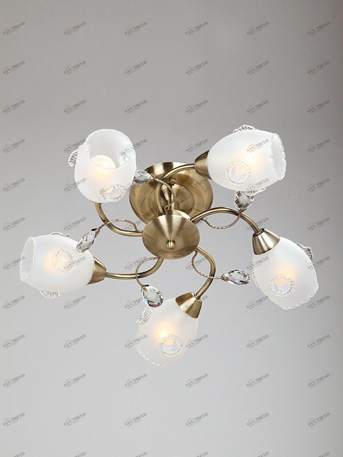 Потолочная люстра Vitaluce V3536/5PL VITALUCE ДИЗАЙНЕРСКИЕ 220112 Белый 