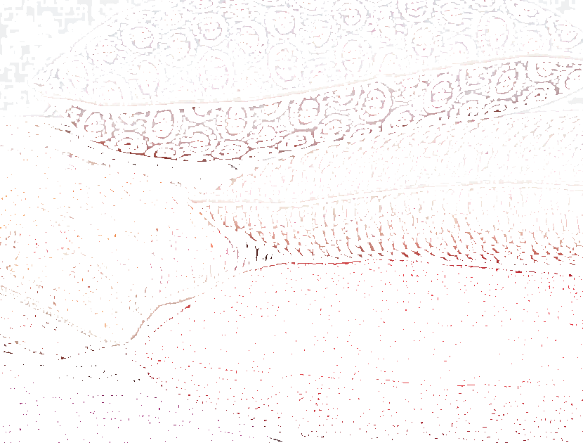 Élitis Прямоугольная подушка из шелка со съемным чехлом  Co 133  - Вид №5