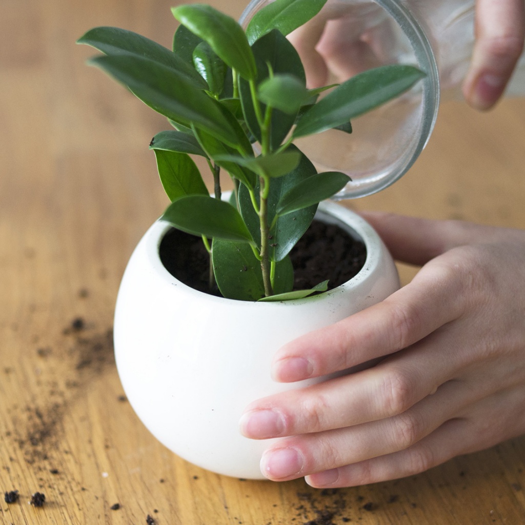 Кашпо ЭКОЧЕЛОВЕКИ STM301 - Вид №4