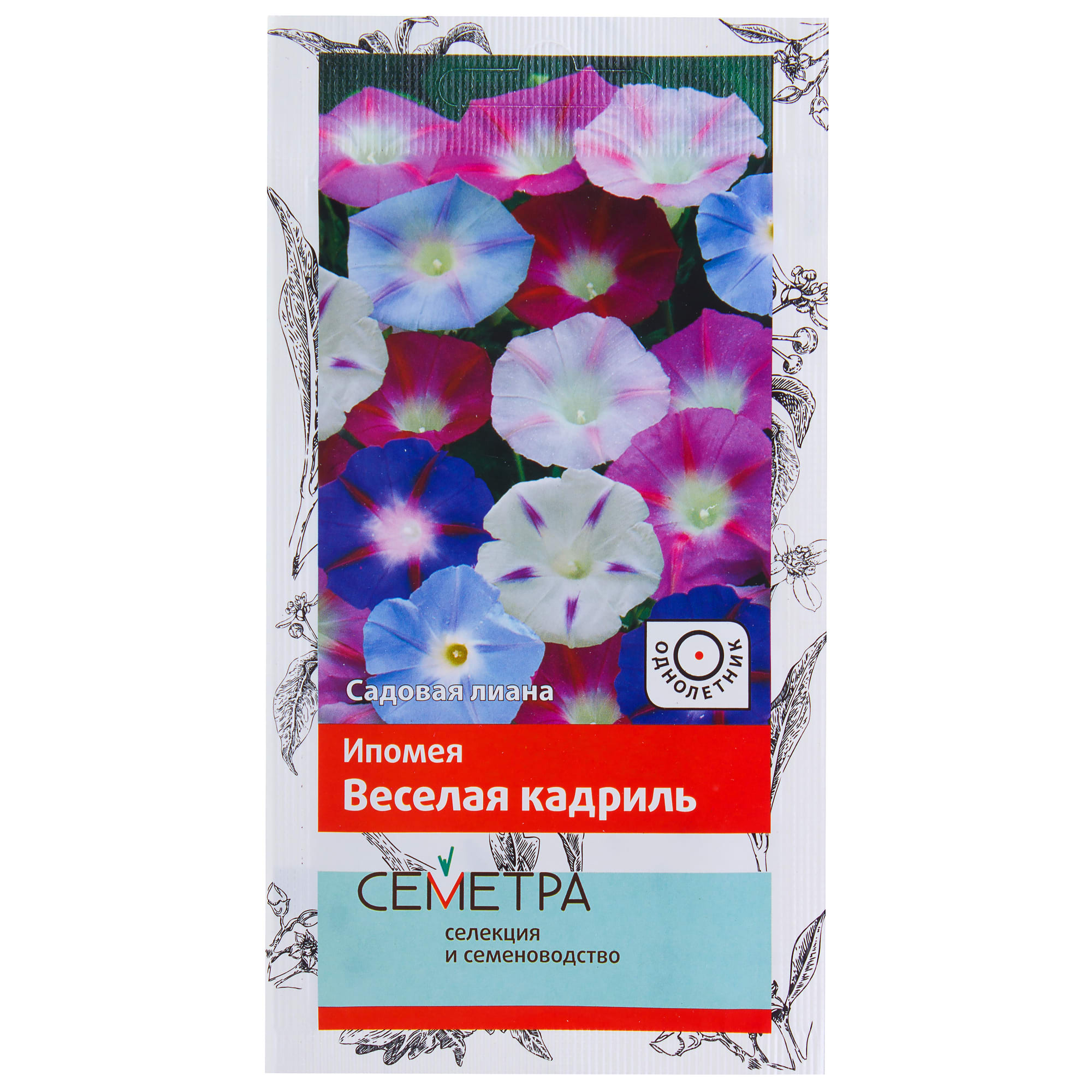 18359177 Ипомея «Веселая кадриль» Santreyd 
