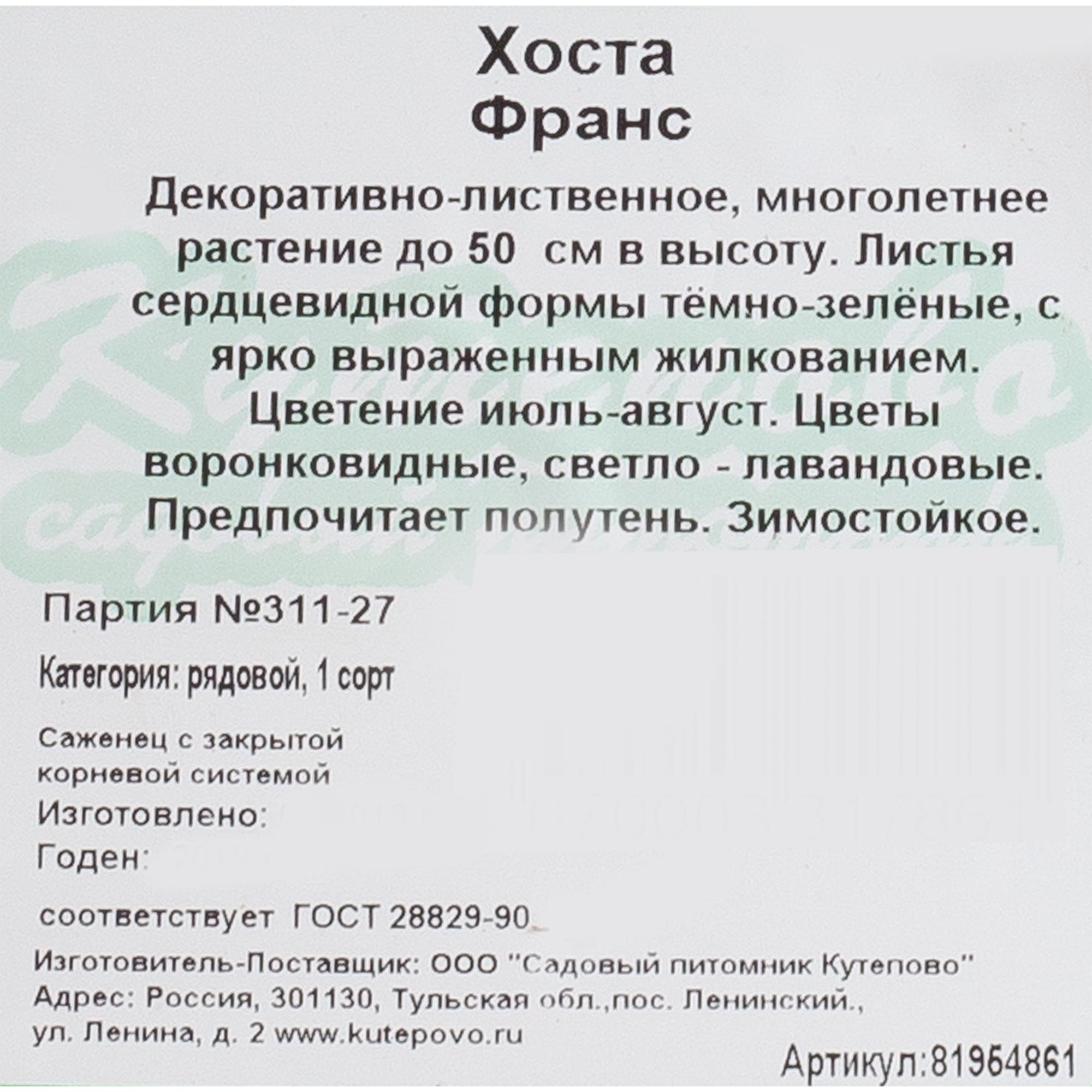 81954861 Хоста гибридная С2 «Франс» h15 Santreyd  - Вид №1