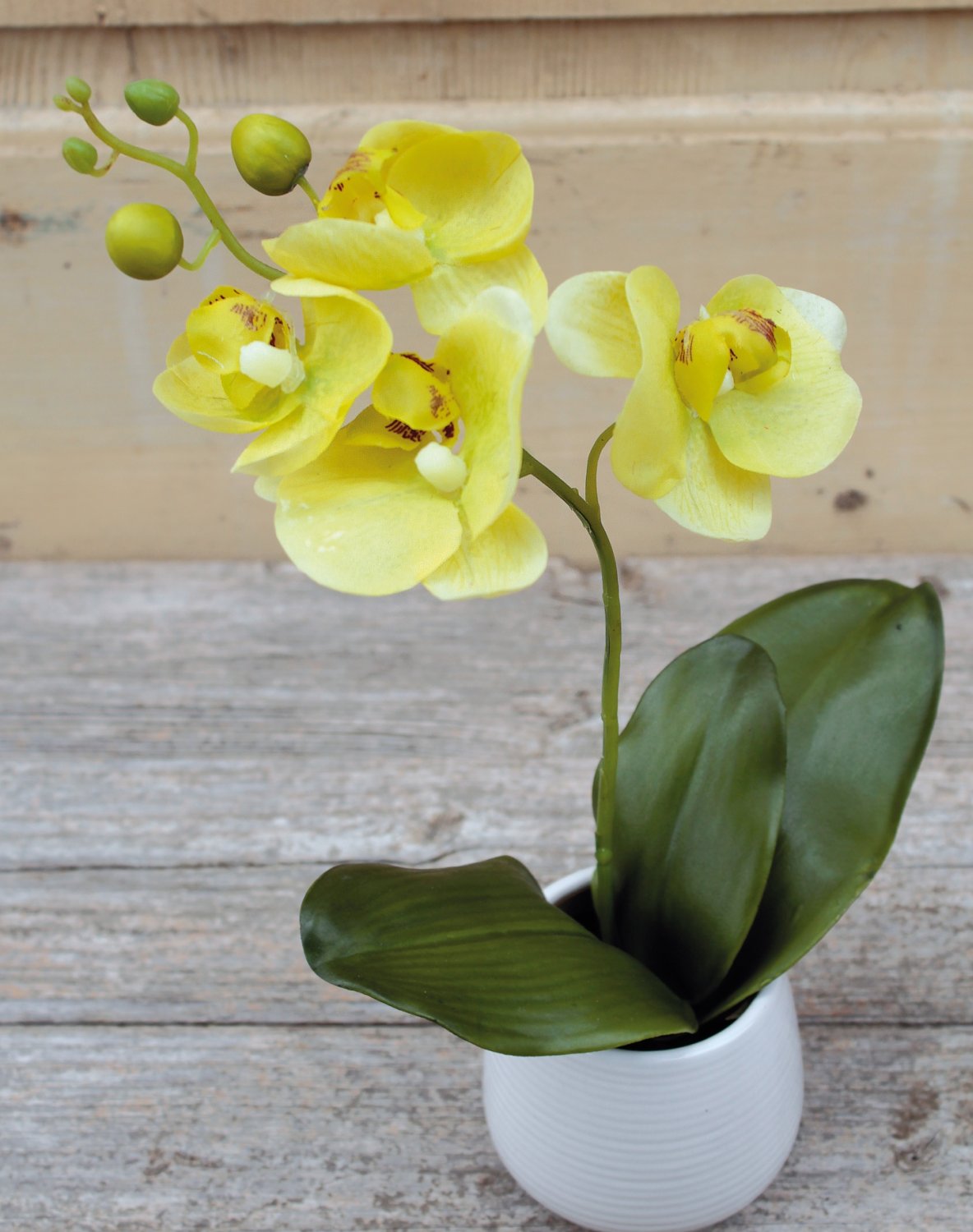 2608 788 a3 Искусственная орхидея Phalaenopsis, горшечная, 30 см, бежево-зеленая H-andreas 