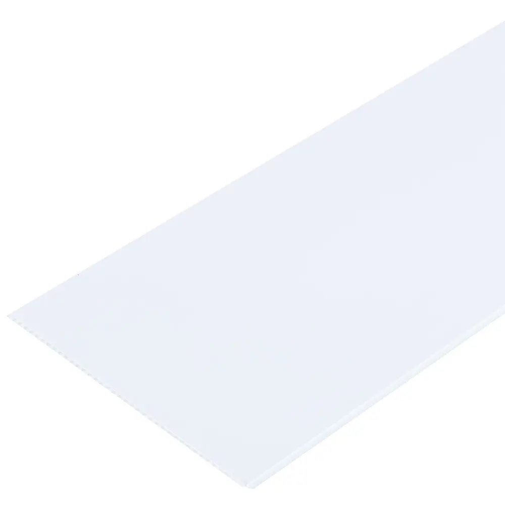 Панель ПВХ 5x250x3000 мм, цвет белый Santreyd STLM-2136182 - Вид №1