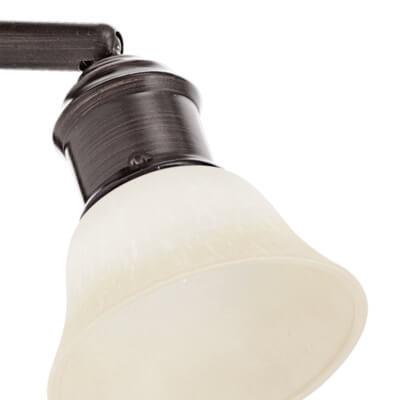 Спот настенный коричневый Eglo Alamo 89058 EGLO ФЛОРИСТИКА 00-3926144 Коричневый  - Вид №1
