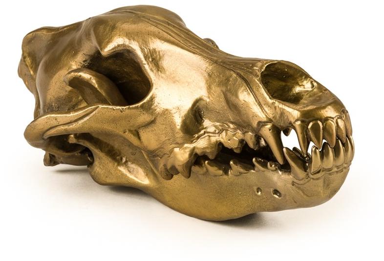 Seletti Алюминиевый декоративный предмет Wunderkammer sun-id-1419385 - Вид №10