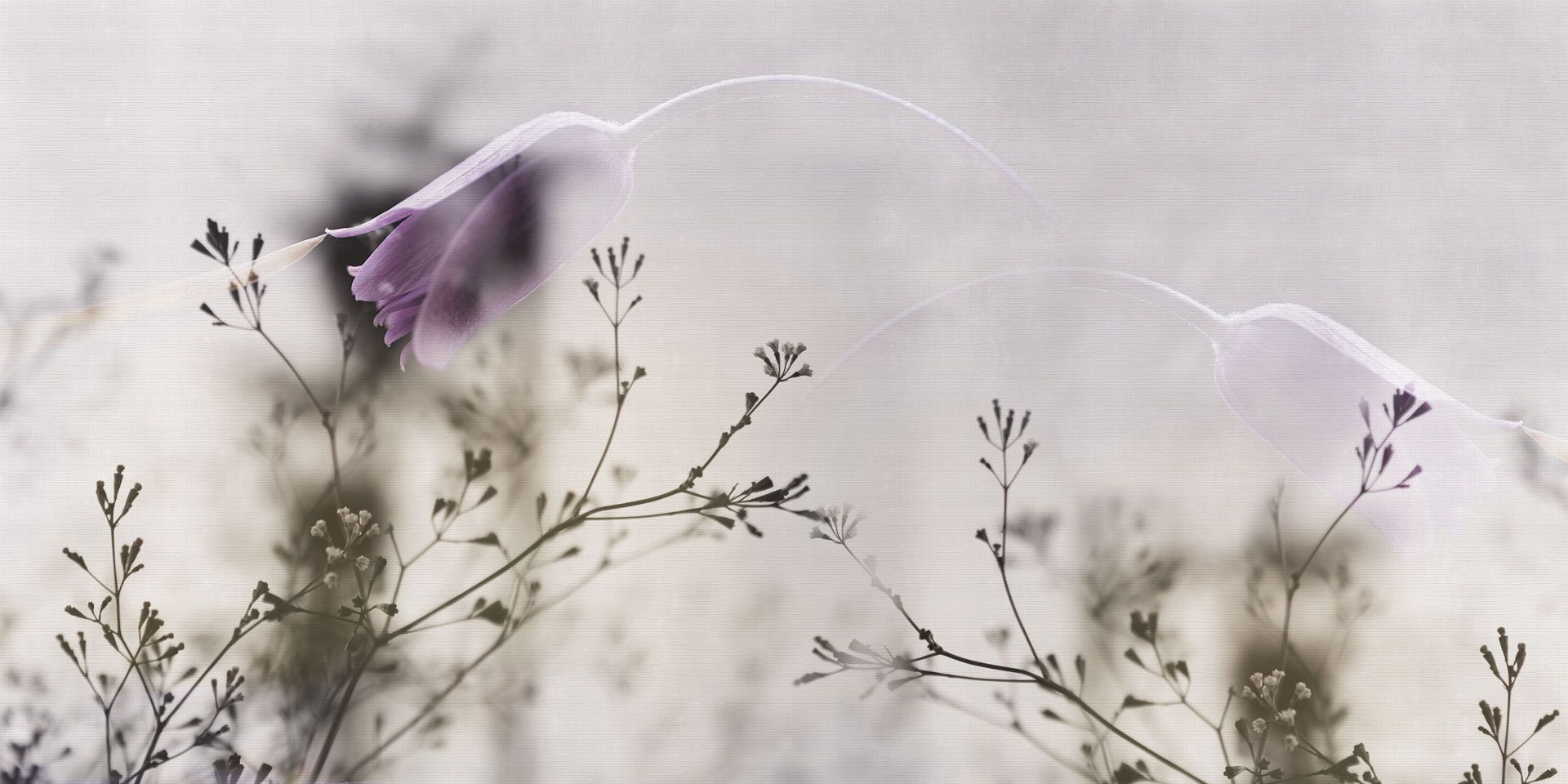 Обои с цветочными мотивами Rimura 2025 ARCH-00068333 - Вид №1