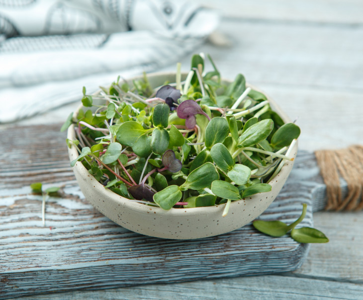 4126 Микрозелень Микс салатный Вкусляндия  - Вид №1