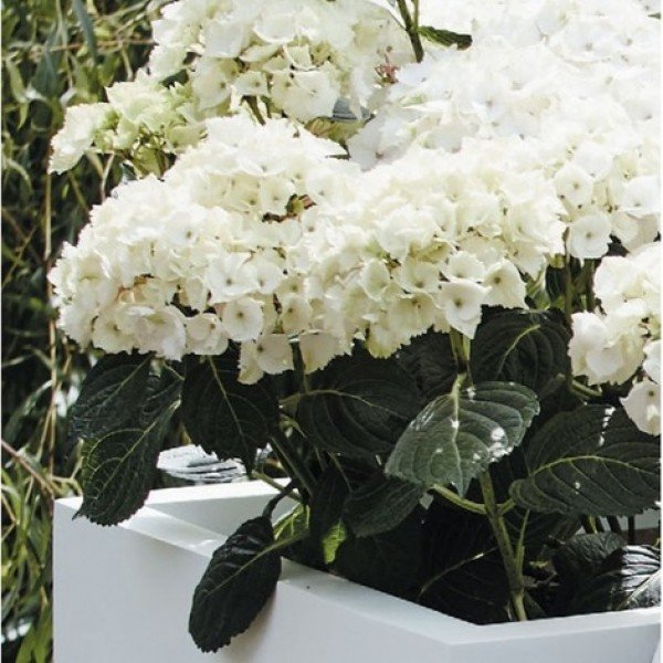 Ваза из искусственного камня квадратная 50 см черная "Регина" LE-VILLAGE FLORERO 044745 Черный  - Вид №2