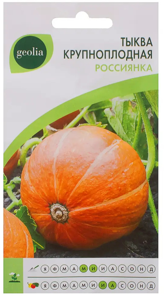 Семена тыквы Россиянка от GEOLIA - сладкий урожай для холодного климата 17584874