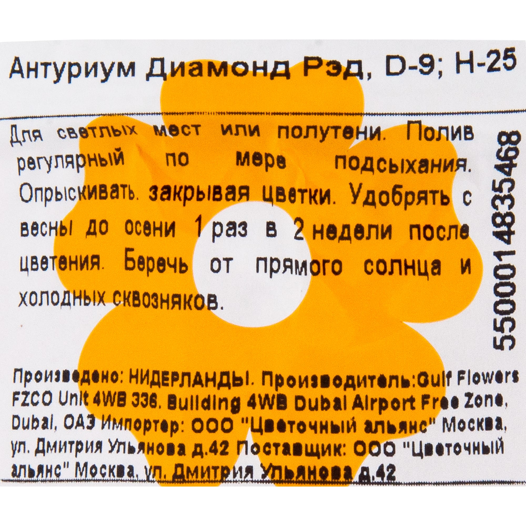 Антуриум Диамонд Рэд - цветущее комнатное растение в горшке 82548631 Santreyd STLM-0029508 - Вид №2