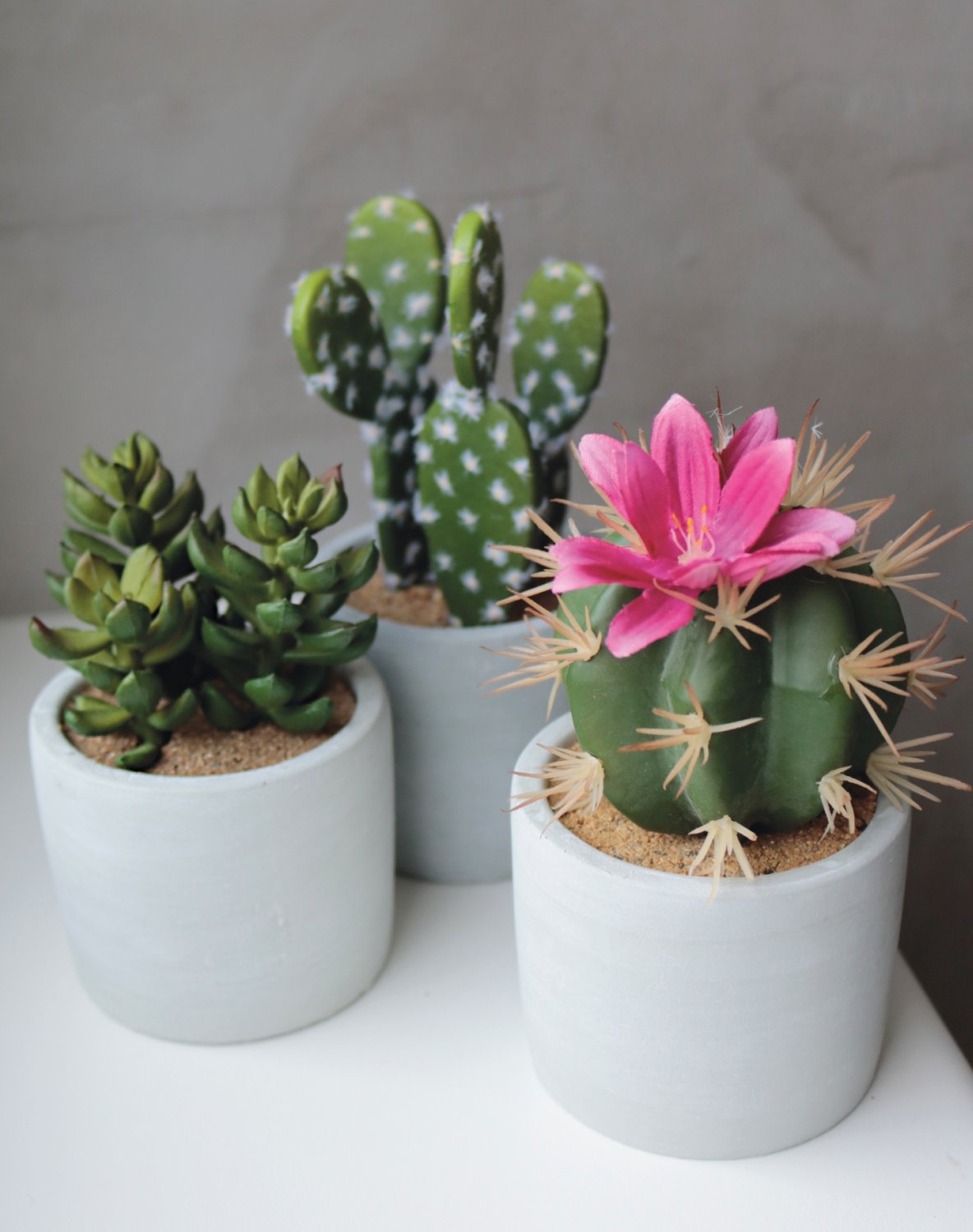 6068 883 a3 Пластиковые суккуленты-микс, в горшках, 3 шт., 10/14/17 см, зеленые H-andreas 