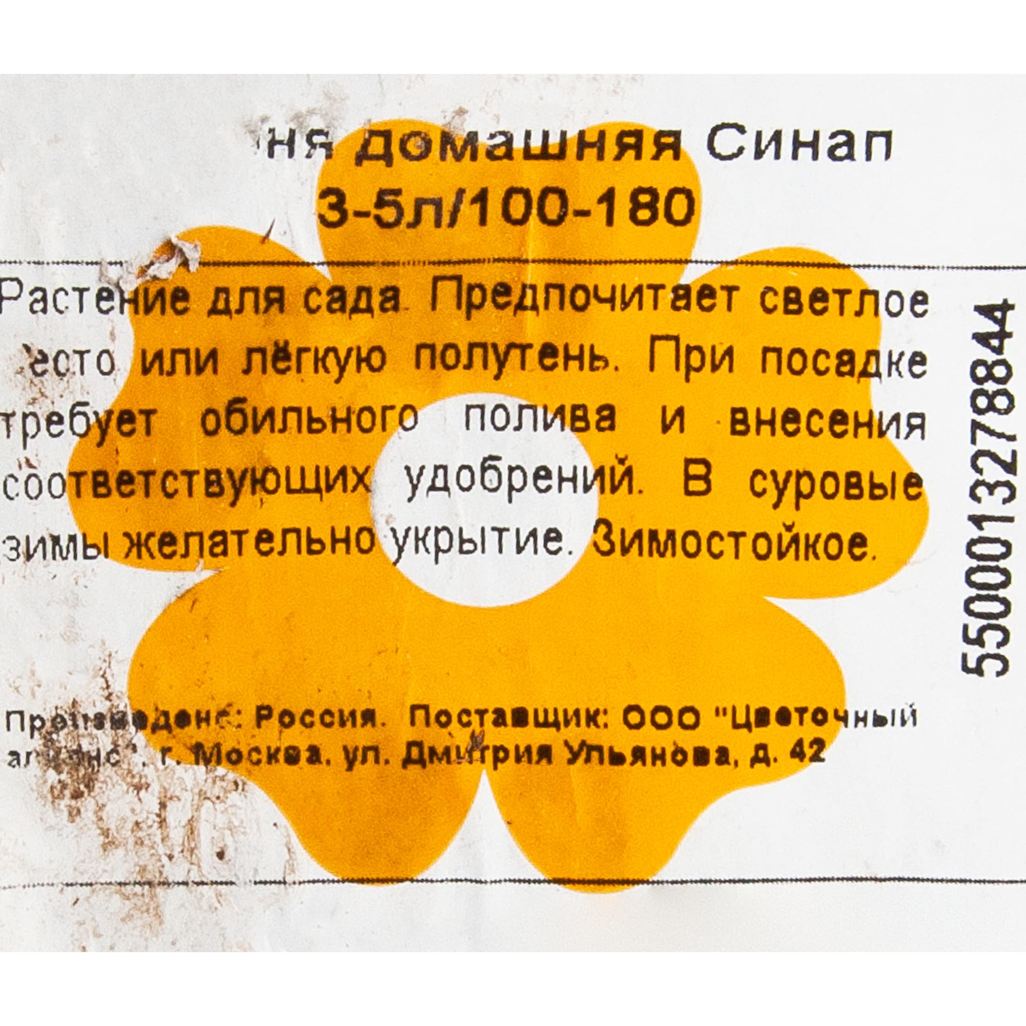 82601713 Яблоня домашняя «Синап» 3-5 л высота 100-180 см Santreyd  - Вид №1