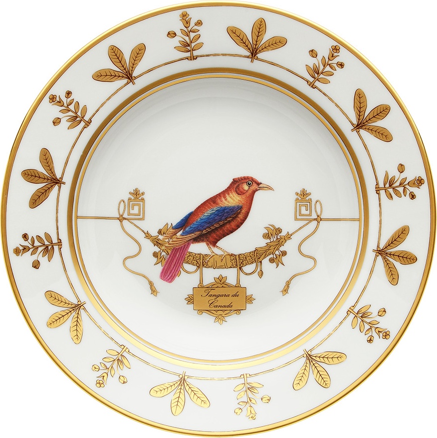 10647869 Richard Ginori Тарелка суповая 24.5 см Volie're Tangara du Canada Фарфор 