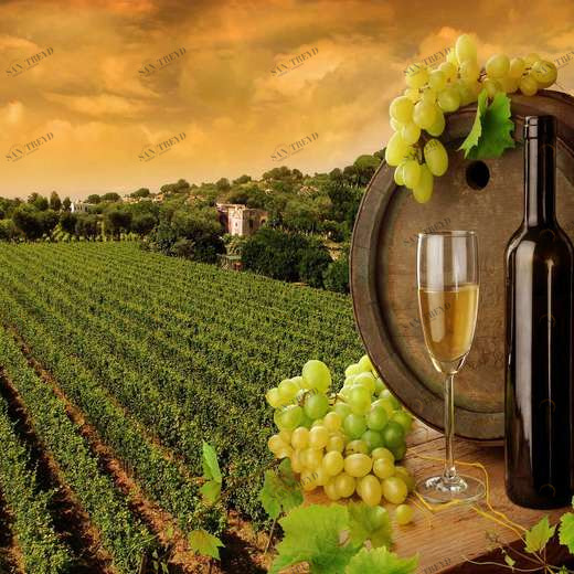 WP00959 Фотообои Verol Фотообои decoline 1х1 м