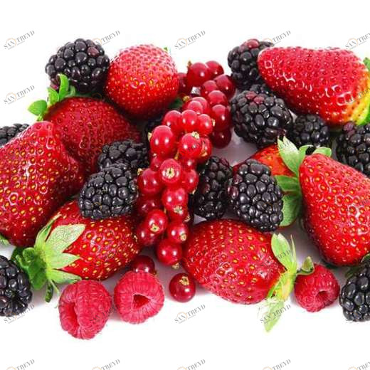 WP02299 Фотообои Verol Фотообои decoline 1х1 м