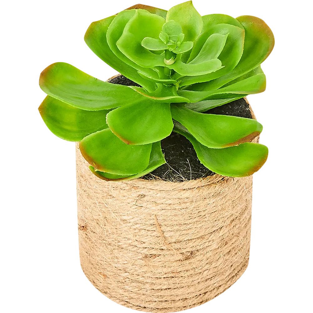 82733287 Горшок с искусственным растением с веревкой ø12 см высота 16 см STLM-0831746 Santreyd  - Вид №2