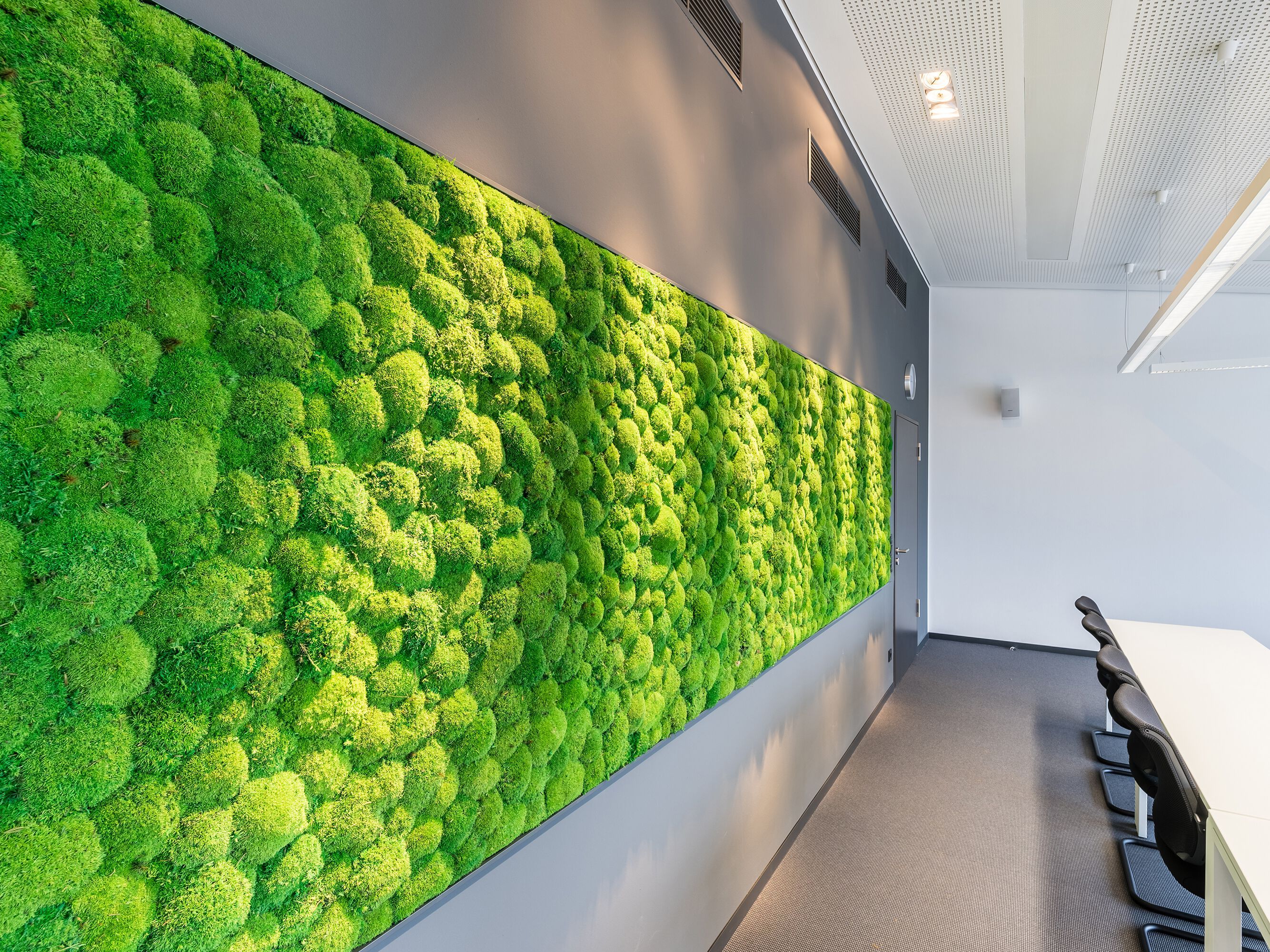 Растительная стена из мха Freund GmbH ARCH-00023492 - Вид №4