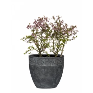 Вазон из искусственного камня с резным бордюром 41 см черный "Пуатье" CAPI EUROPE FLORERO 044839 Черный