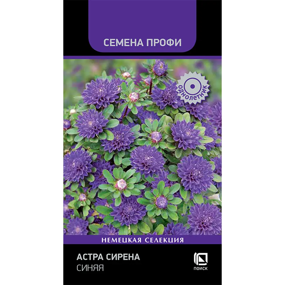 Астра Сирена синяя ПОИСК - пышный букет на одном растении 89401101 STLM-1572419