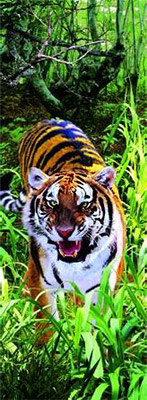 4 Закладка объемная 3D №1 Тигр Santreyd 