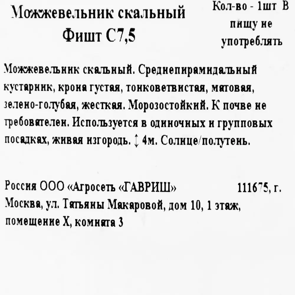 Можжевельник скальный фишт C7.5 82550319 STLM-2151263 ГАВРИШ  - Вид №1